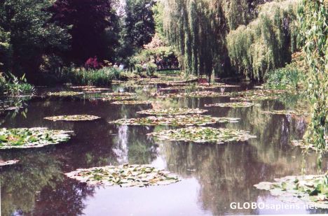 Postcard The pond of inspiration