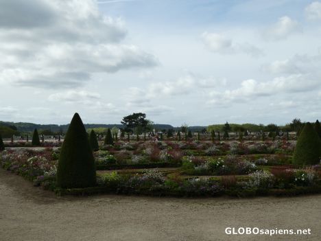 Postcard Gardens