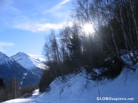 Postcard les Lys