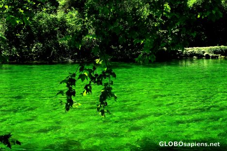 Postcard which one is more blue, the leaves or the water?