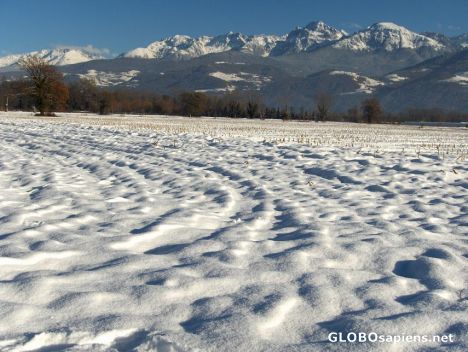 Postcard Snowfield at the Alps