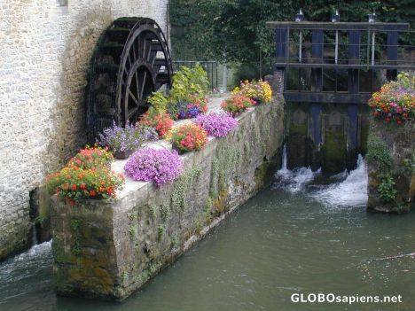 Postcard Flower Mill