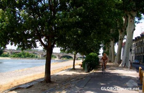 Postcard River Loire Orleans