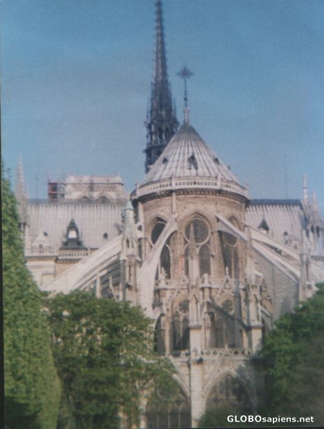 Postcard Notre Dame