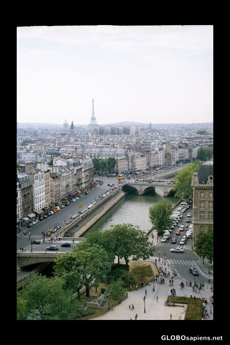 Postcard View from Notre Dame