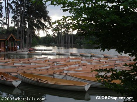 Postcard Sunday in the Park with Boats