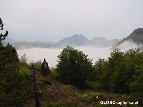 Postcard Mist in the Mountains.