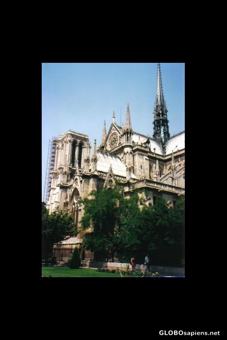 Postcard Notre Dame