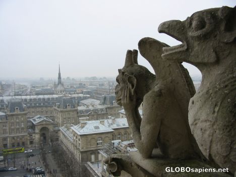Postcard Notre Dame
