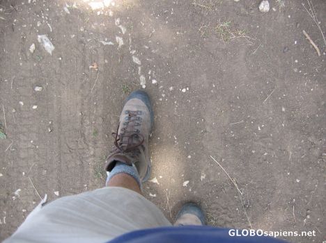Postcard Keep on walking