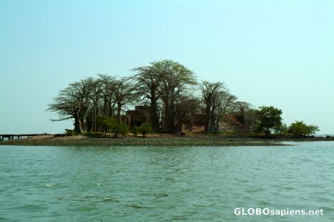 Postcard Jufureh - James Island