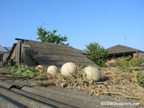 Postcard Mr Vahtang House