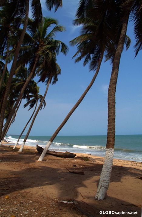 Elmina Beach