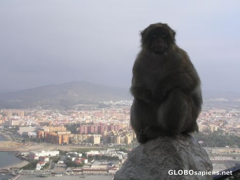Postcard View from Rock of Gibraltar