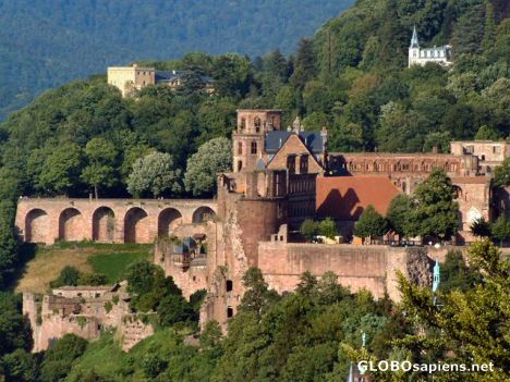 Postcard Heidelberg  Germany