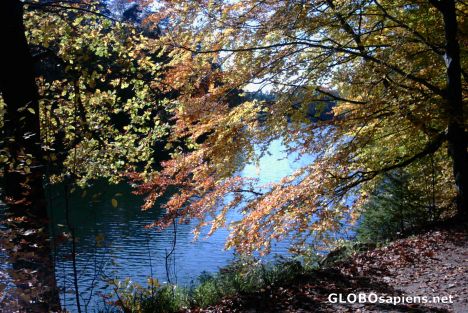 Postcard Baerensee near Stuttgart