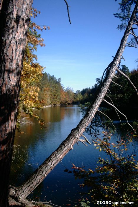 Postcard baerensee 2