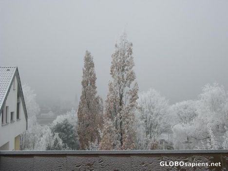 Postcard Snow on the trees in winter