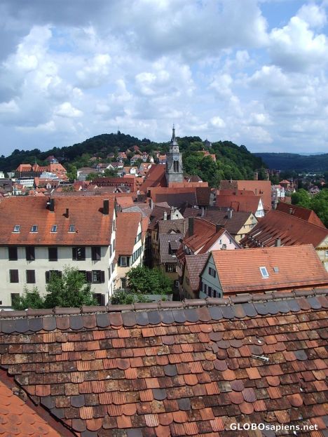 Brick roofs