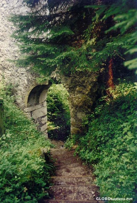 Postcard Ruins at Karlstein