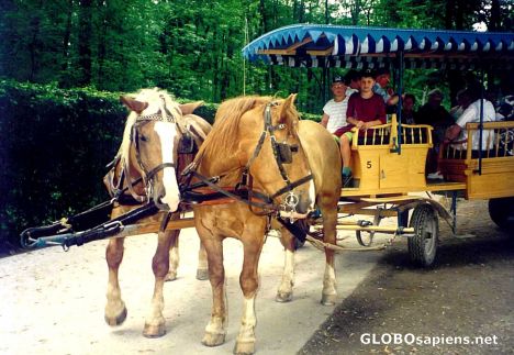 Postcard Chiemsee Coach