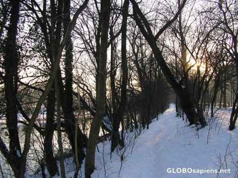 Postcard Icy Winter 7of10 Riverbank