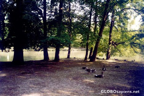 Postcard Isar Flossfaht 8o8