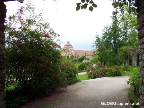 Postcard The Botanische Institute & Staatssammlung