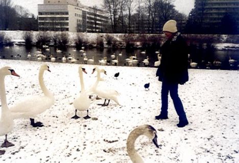 Postcard Noch kein Vogelgrippe