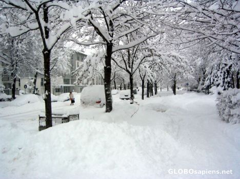 Postcard You have to dig your car out this morning!