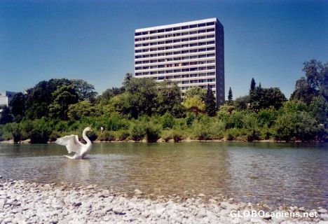 Postcard Flaucher Flats