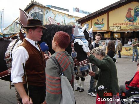 Postcard Oktoberfest2006-horsefeed