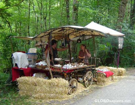 Postcard Medieval Fest: Vendor