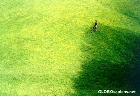 Postcard How Green is My Valley?
