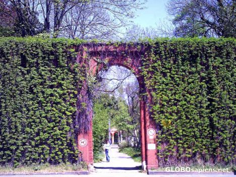 Postcard Südfriedhof: Kapuzinerstrasse Mai