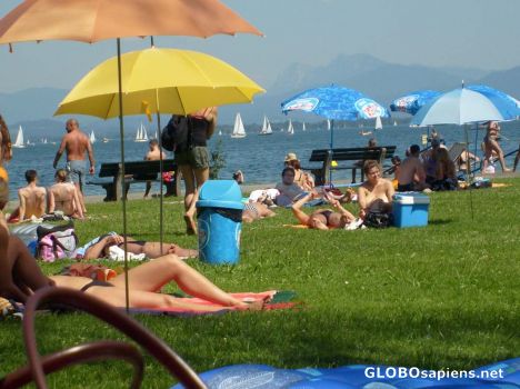 Postcard Blistering Summer Tan1