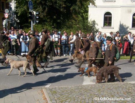 Postcard Oktoberfest Parade 14o18 Dogs