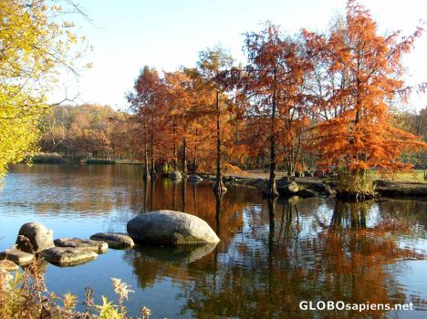Postcard Westpark Autumn