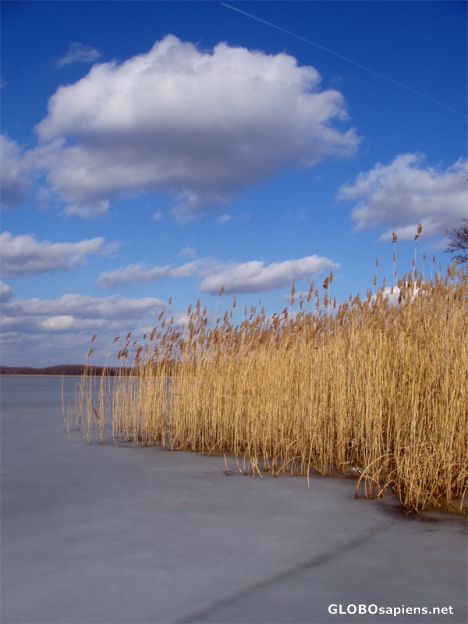 Postcard Winter @ Seddiner Lake