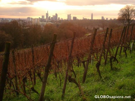 Postcard Frankfurt sunset