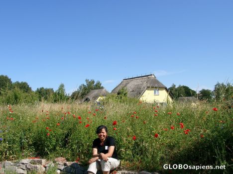 Postcard Blooms from the Isle of Vilm
