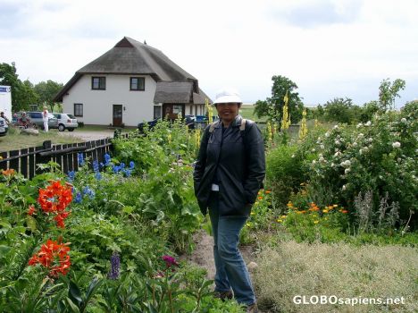 Postcard Blooms from the Isle of Vilm