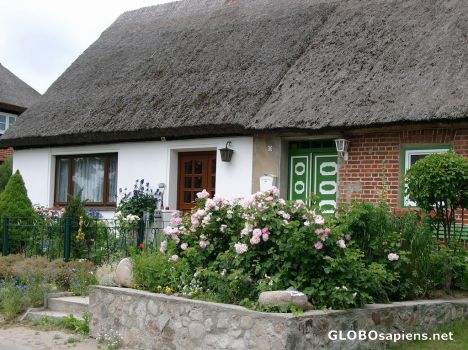 Postcard Blooms from the Isle of Vilm