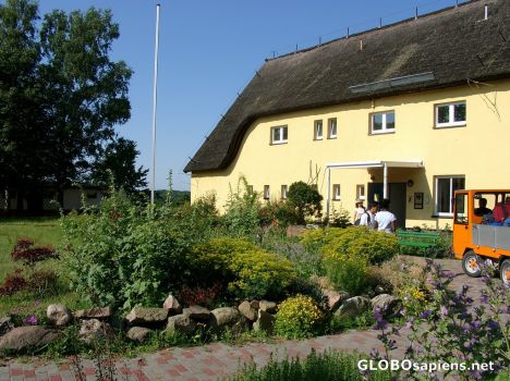 Postcard Blooms from the Isle of Vilm