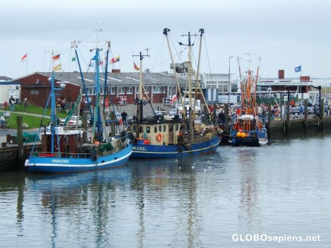 Postcard fischkutter als touristentaxi