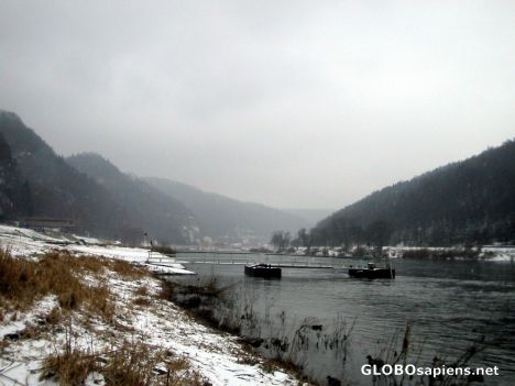 Postcard The Elbe River by Bad Schandau