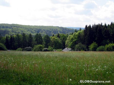 Postcard Neunzehnhain Landscape and Greenery