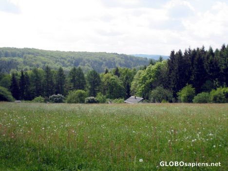 Postcard Neunzehnhain Landscape and Greenery