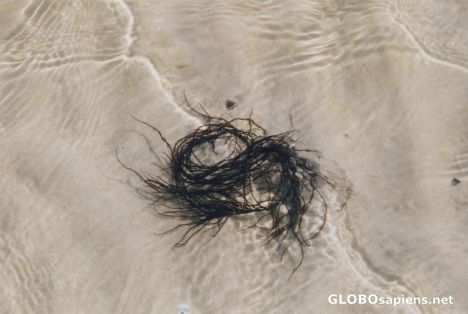 Postcard rising tide