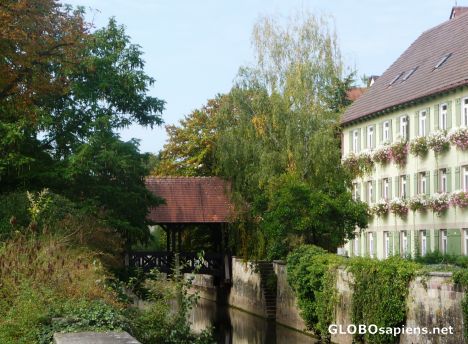 Postcard The green house -